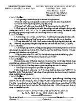 Đề thi chọn học sinh giỏi cấp huyện môn Hóa học Lớp 9 - Năm học 2019-2020 - Trường THCS Nguyễn Công Trứ (Có đáp án)